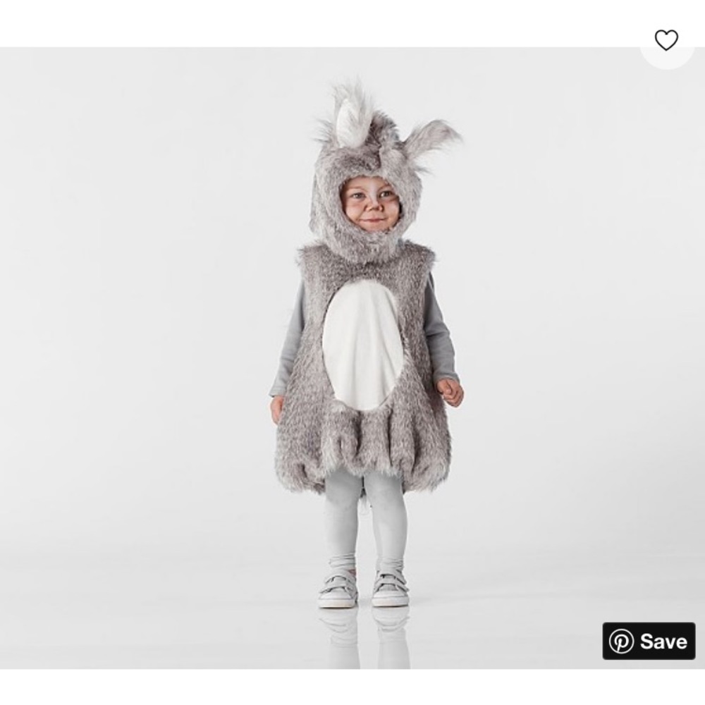 Pottery Barn Kids Size 4-6 Squirrel Costume